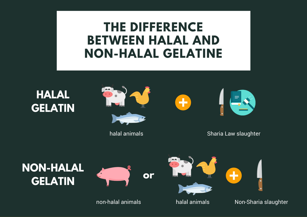 How To Tell The Difference Between Halal And Non Halal Gelatin The Halal Life