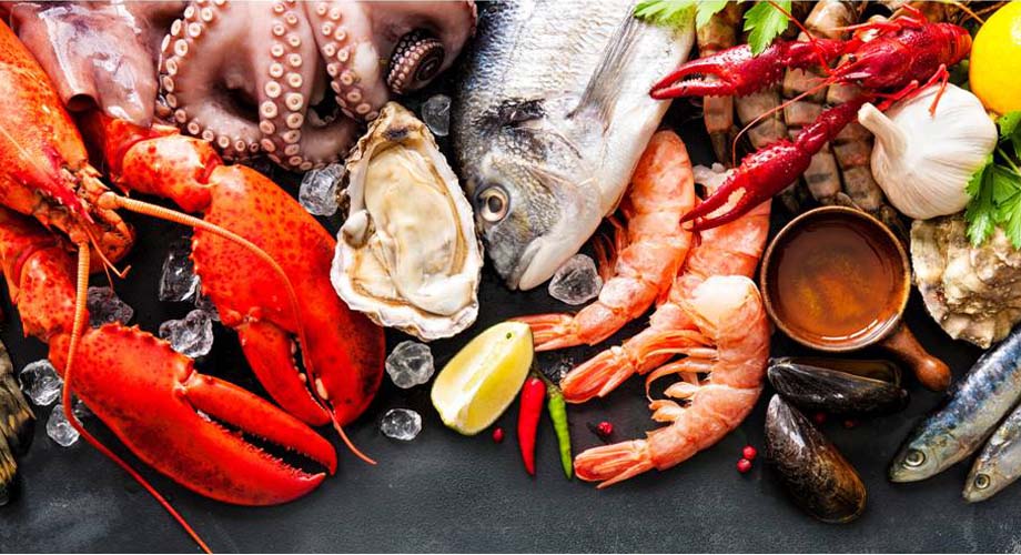 The fiqh ruling of Seafood in Islam – The Halal Life